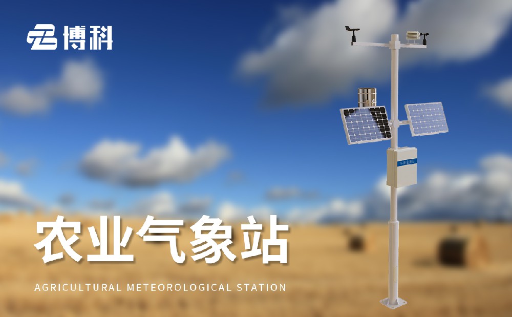 1714375135140754.jpg 2.jpg