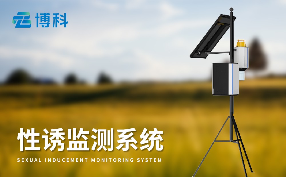 1714376299167447.jpg 3.jpg