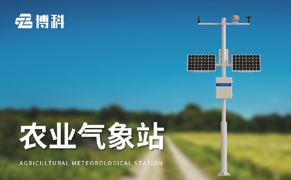 1714376559173464.jpg 5.jpg