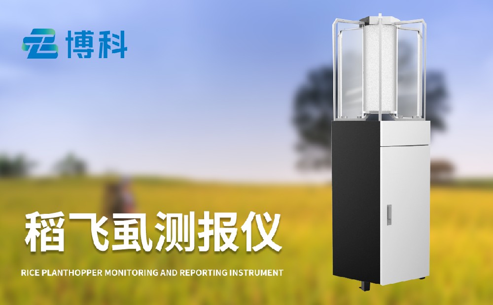 稻飛虱測報儀對水稻病蟲害治理的幫助