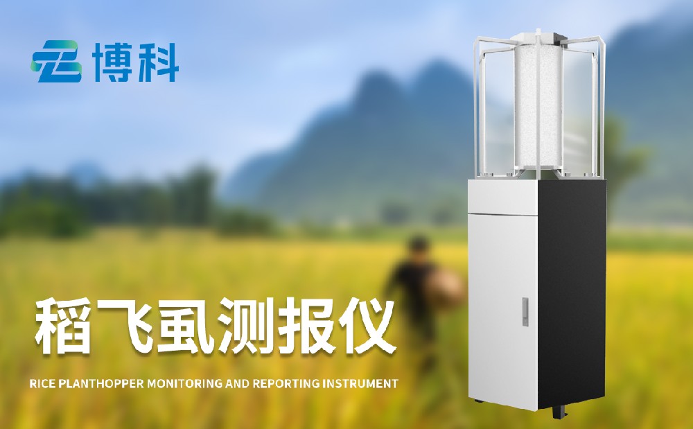 稻飛虱在線監測儀